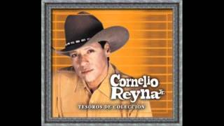 cornelio reyna jr 2012 ay amigo [upl. by Naeloj]