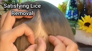 ASMR 🌻 Most Satisfying Lice Removal and Scalp CheckScratching lice pick parting  No Talking😴😪 [upl. by Tootsie]