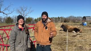 Our Dairy Cow is the MOST Important Animal on the Homestead [upl. by Harragan]