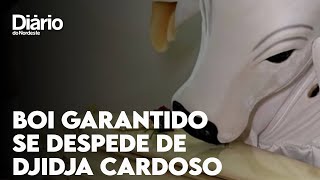 Boi Garantido se despede de Djidja Cardoso exsinhazinha que morreu em Manaus [upl. by Monroy]