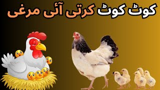 Kut Kut Karti Aayi Murgi Urdu Poem  کوٹ کوٹ کرتی آئی مرغی  Urdu Nursery Rhymes For KidsKiidsHub [upl. by Ai]