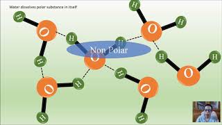 Hydrophobic and Hydrophilic Interaction in Biomolecules Animation [upl. by Origra]