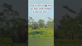 एक बच्चे ने हाथी से अपनी जान कैसे बचाई Angry elephant attack on human child elephant attacks child [upl. by Valina]