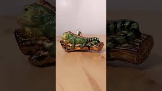 Old World Christmas Green Iguana Ornament [upl. by Lilaj]