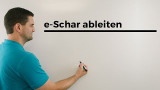 eSchar ableiten Ableitung eFuktion mit Parameterspeziell für Störfunktion  Mathe by Daniel Jung [upl. by Imij943]