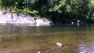 North Winooski river VT [upl. by Vowel]