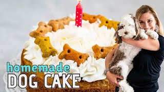 Easy Homemade Dog Cake Recipe [upl. by Gonagle]