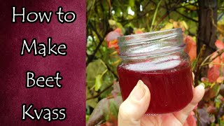 How to Make Beet Kvass [upl. by Maccarone748]