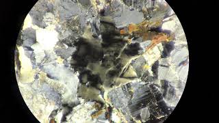 Petrology Thin Section Undulose Quartz in Granite [upl. by Demetra]