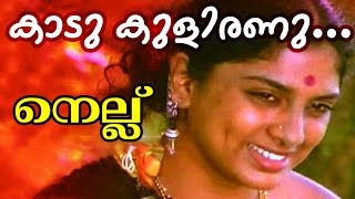 Kadu Kulirannu  Kalyana Prayathil   Malayalam Movie  Nellu  Movie Song [upl. by Arorua42]