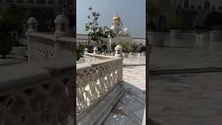 Darbar sahib aa Tari durbar song🙏 wahegur🙏 [upl. by Turk706]