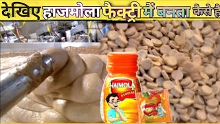 देखिए हाजमोला कैसे बनता है  Hajmola kaise Banta Hai  How Hajmola is Made in Factory  I Q GURU [upl. by Aidam]