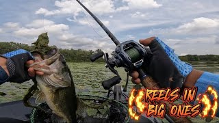 NEW DAIWA TATULA SV TW 2024 REVIEW SUMMER FROG FISHING4K [upl. by Subak]