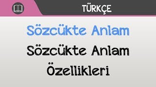 Sözcükte Anlam  Sözcükte Anlam Özellikleri [upl. by Lenej51]