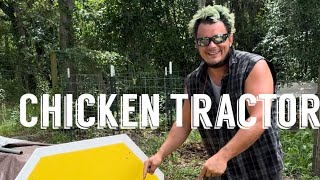 Chicken Tractor [upl. by Tra777]