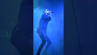 Animal Nitrate  Live at Primavera Sound 2019 Suede Britpop [upl. by Diarmid]