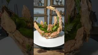 Wood Pieces Glued together to form terrarium terrarium planterdecor plants mossterrarium moss [upl. by Sanburn]