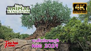 Animal Kingdom Walkthrough in 4K  WDW Resort  Aug 2024 [upl. by Avik]