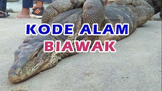 Erek Erek Biawak Kode Alam 2D 3D 4D  Angka Biawak Togel  Buku Mimpi Biawak Togel [upl. by Muslim293]