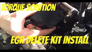 Torque Solution EGR delete kit 2016 Subaru WRX [upl. by Yeldahc376]