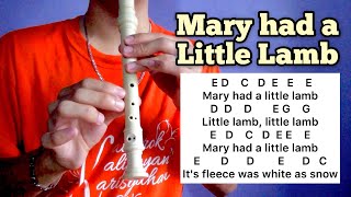 Mary Had A Little Lamb Nursery Rhymes [upl. by Pantia]