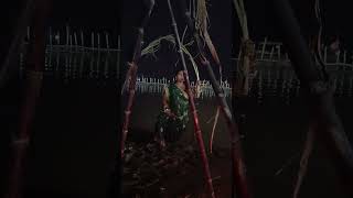 Chhath Puja youtubeshorts pawansingh chatha song trending chattha [upl. by Adivad]