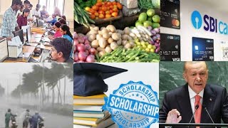 Vegetable Rates  Scholarship  Bipc Counselling  SBI Credit Card 3 Cyclone  NarsinghAnand  Gaza [upl. by Laira]