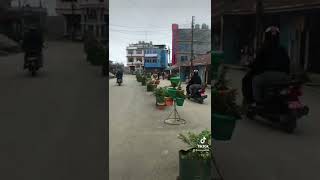 Rabi bazar panchthar [upl. by Jaynell]