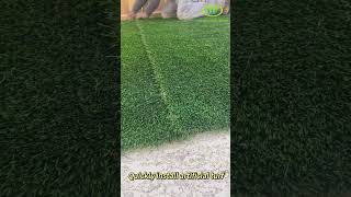 Interesting artificial grass installation process please contact us if you need anything [upl. by Nedda544]