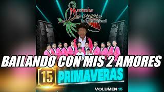 MIX VOLUMEN 15 Nuevo 2024  Marimba Los 5 Altares La Internacional [upl. by Newberry]