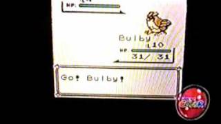 Beta Pidgey Pokemon Red Version 1997 [upl. by Willow916]