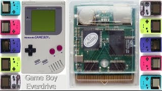 Gamerade  Game Boy amp GB Color Everdrive Flash Card  Adam Koralik [upl. by Andi]