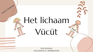 NT2  nederlandsleren  HET LICHAAM  VÜCUT hollandacaögreniyorum filamanca breakhtrough nt2 [upl. by Francie605]