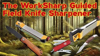 The Best Knife Sharpener [upl. by Caylor]