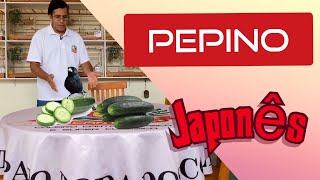 BENEFÍCIOS DO PEPINO JAPONÊS PARA NOSSAS AVES [upl. by Michella792]