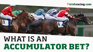 What is an accumulator bet IrishRacing explains… [upl. by Nareik533]