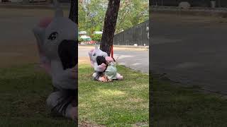 Broma😱lamodelo💃y el unicornio 😂😂 funny comedy youtube shorts humor [upl. by Happ]