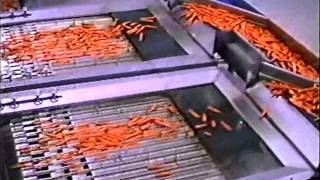 Calibradora diametral para zanahorias Diameter grader for carrots Caldi 15THwmv [upl. by Dulcle]