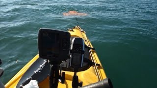 Using a Drift Chute when Drift Fishing from a Kayak [upl. by Direj403]