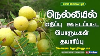 நெல்லியில் மதிப்கூட்டப்பட்ட பொருட்கள் தயாரிப்பு  Agricultural Technology [upl. by Netsirc]