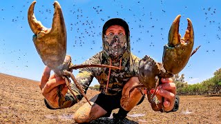 SURVIVING Remote Australia  GIANT CRABS Catch and Cook Millions of Flys [upl. by Sweeney56]