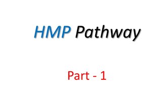 Hexose Monophosphate Pathway HMP I Pentose Phosphate Pathway Part1  Site amp Significance [upl. by Aletsirc593]