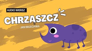 Wiersze dla dzieci  Jan Brzechwa  Chrząszcz  wiersze i audiobooki pl [upl. by Akcir]