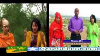 HEESTII JIGJIGA by ALFANAAN NUURADIN AHMED [upl. by Zenia]