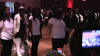 Delta Sigma Theta New York Alumnae Chapter  NIP Probate Spring 2014 [upl. by Kronick421]