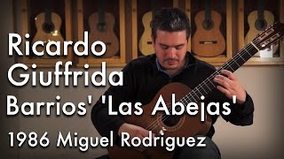 Barrios Las Abejas played by Ricardo Giuffrida [upl. by Zacks466]