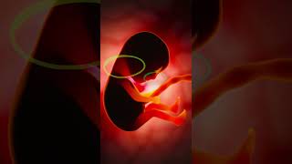 How many scans should be done in pregnancy pregnancy ప్రెగ్నెన్సీలో ఎన్ని స్కాన్ చేయాలి [upl. by Ahcsropal49]