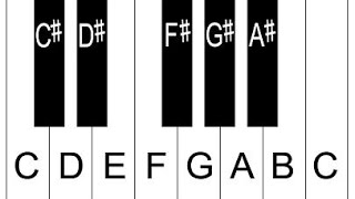 Piano Lesson 2 How To Label Piano Keys Part 2  Piano Keyboard Layout [upl. by Files827]