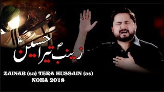 Nohay 2018  ZAINAB ع TERA HUSSAIN ع  Syed Raza Abbas Zaidi New Noha 2018191440 H  Nohay 2019 [upl. by Sybila]