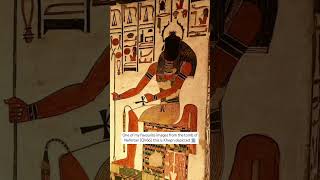 tomb of Nefertari QV66 this is Khepri depicted🏛 [upl. by Roselane]